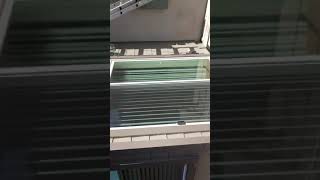 Vinyl dual pane windows