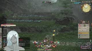 えみーね さんは エオルゼア で遊んでいます。 Elemental DC Gungnir