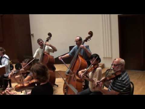 G Tartini Concerto in D major, D53 Andante