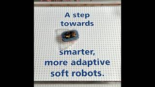 Soft robots get smarter with magnetic power and flexible batteries