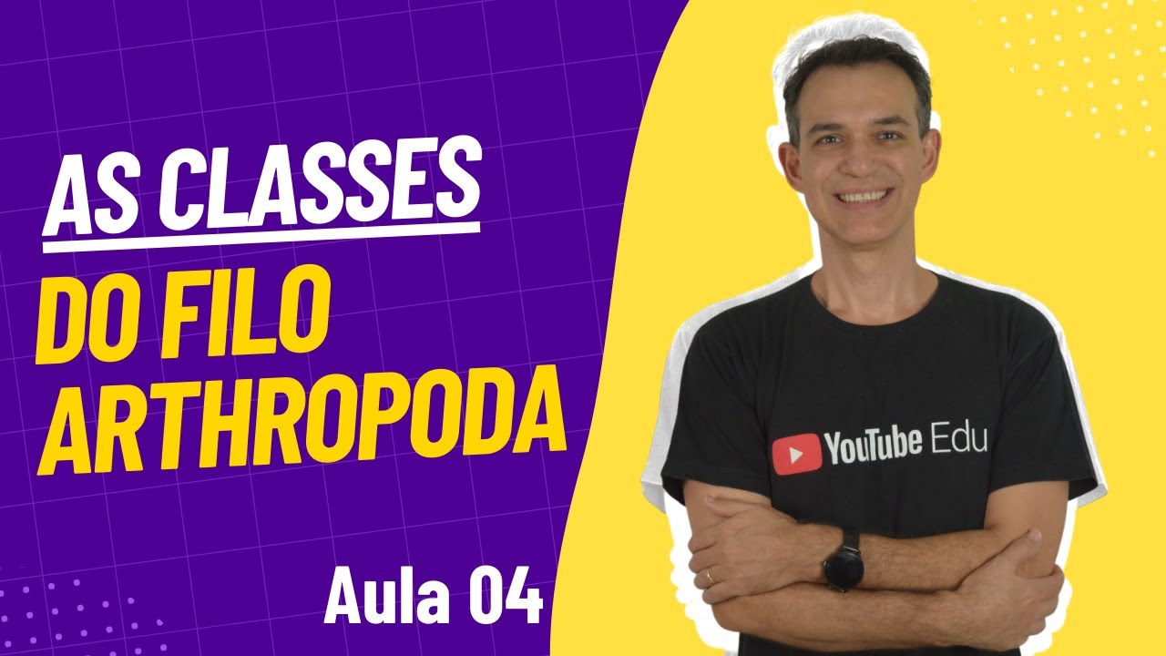 As Classes do filo Arthropoda