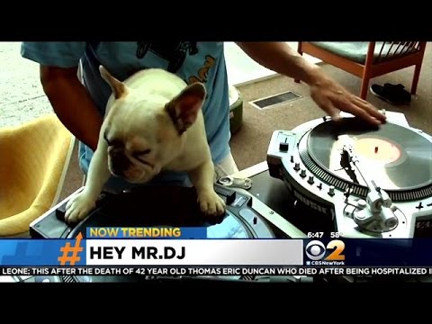 Now Trending: DJ Face Off, Too Tired To Eat And More