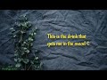 Rayvanny Vacation Official Lyrics Video