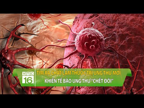 , title : 'Tìm ra chất làm thuốc trị ung thư mới khiến tế bào ung thư “chết đói” | VTC16'