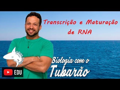 Gene Transcription and RNA Maturation or Splicing