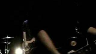 Green Lizard - Mouthful