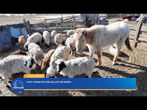 ӨВӨРХАНГАЙ: Сант сумын 90 хувь нь цастай байна