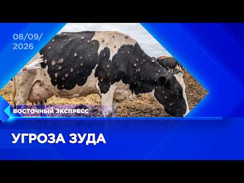 Режим повышенной готовности вводят в Бурятии | «Восточный экспресс» | новости Улан-Удэ