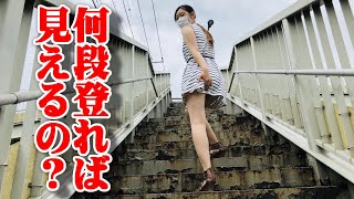 歩道橋の階段を何段登れば見えるのか？