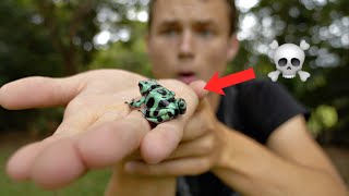 WORLDS DEADLIEST FROG?!?