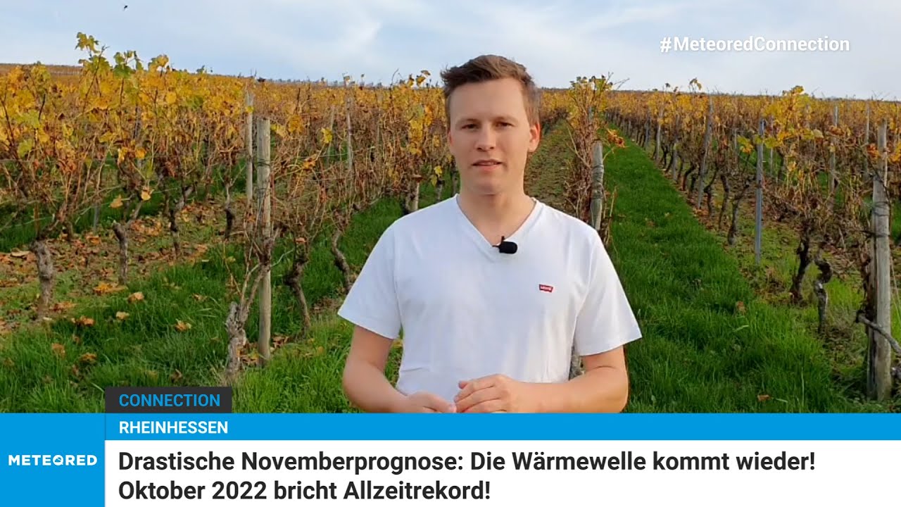 youtube video id=g6Z1DSMUT2M