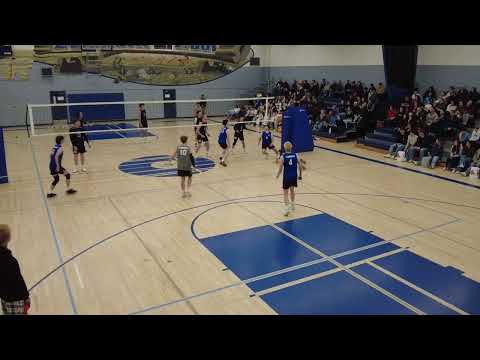 Arden Gillis #10 Allstar Libero Island Gold