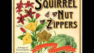 Squirrel Nut Zippers - Suits Are Picking Up The Bill (Album Version)