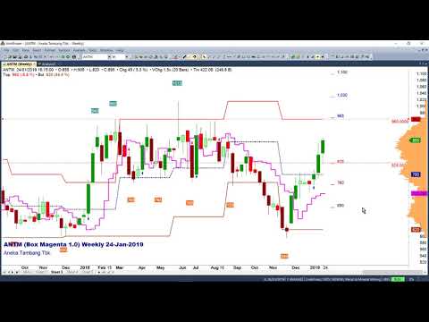 IDX25JAN2019 BEST MAIN TINS ANTM PPRO BNLI SMGR INDF PNLF PNBN ASII ESSA #watchlist