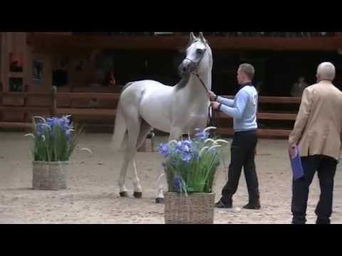 Aboufatmal Apal EWalRaid