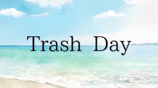 Cover art for Trash Day Orangestar (actually interesting)