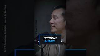 Download lagu ABRAHAH'S ELEPHANT TEAM DEFEATED BY ABABIL'S BIRDS! #shorts mp3