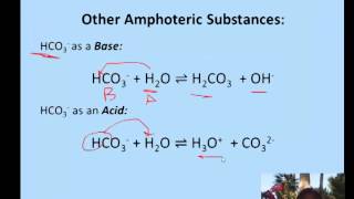 Amphoteric Substances & Conjugate Bases