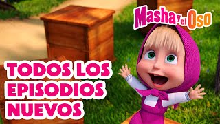 Masha y el Oso 💥 Todos los episodios nuevos 💥 Kid's TV 📺 Masha and the Bear