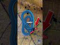 Deadliest Snake You’ve Never Heard Of – Malayan Blue Coral Snake