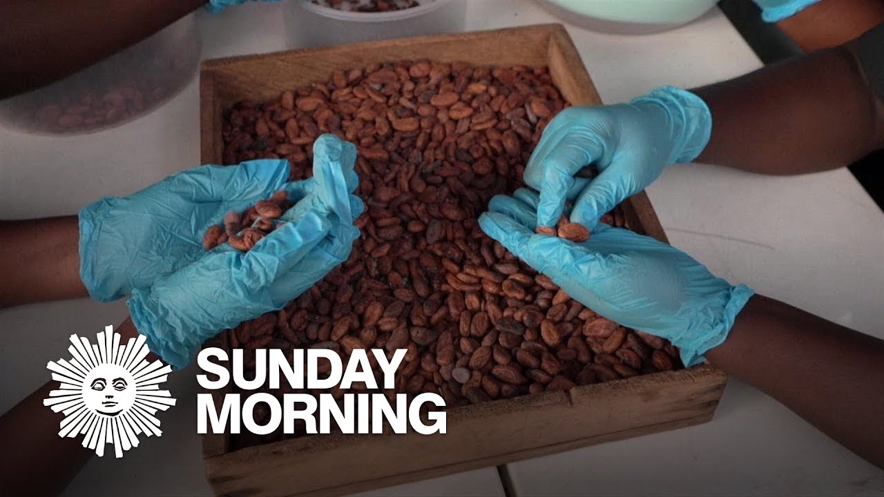 The bittersweet reality behind chocolate