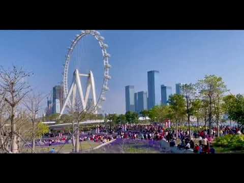 Ponte da Baía de Shenzhen Baía de Qianhai Distrito de Bao'an Distrito de Nanshan Xili Sheng Park Skyscraper Lane Huadian City Qin'i Beach Jinmao Shenzhen JW Wanhao Hotel Zhongzhou Wanhao Hotel Qianhai Huaxeng JW Wanhao Hotel Dongfang Meigu JW Wanhao Hotel Xangai Shenzhen Ruiji Hotel