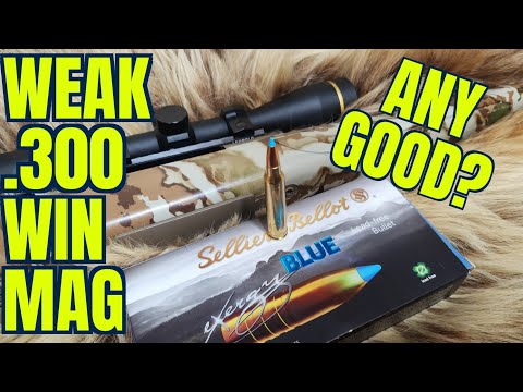 30-06 Sellier and Bellot 150gr SPCE Ballistics Gel Ammo Test