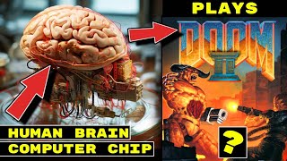 AI News is Getting *WEIRD* Human Brain Matter in Chips. OpenAI tutorial. Amazon unleashed it's AI.