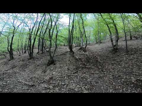 GH012901 cand iese duhul din el