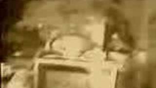 Hot Legs and the fly