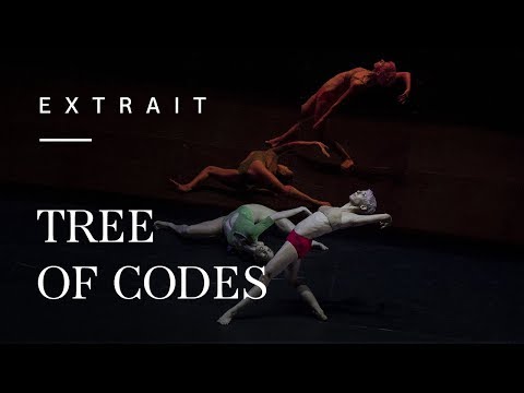 Tree of Codes by Wayne McGregor