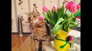 Som Jag Hade Dig Förut - Melissa Horn och Lars Winnebäck - Video by UL