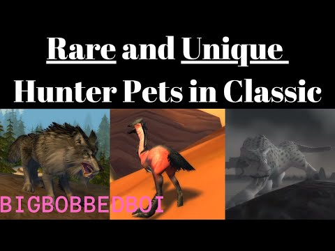 Rare and Unique Hunter Pets in WoW Classic