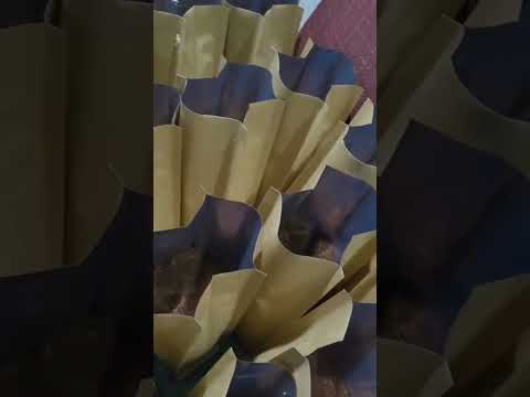 đóng goi cà phê #cafe #coffee #caphe #lakfarmcoffee #reels #viralshorts #bolero #coffeetime