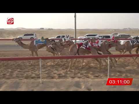   ش 11 (سراب) لـ محمد عتيق زيتون المهيري 6:2 , شارة الديوان 3 2026/10/05 سويحان لقايا 
