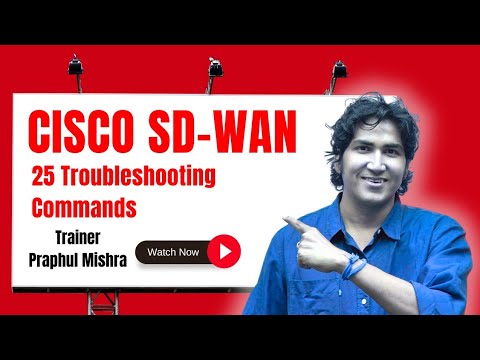25 Troubleshooting Commands on WAN-Edge Device in Cisco SD-WAN Fabric