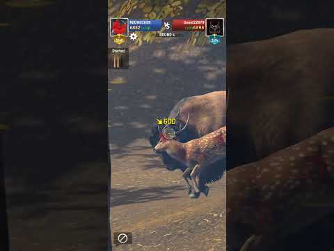 HUNTING SNIPER TOUR 11