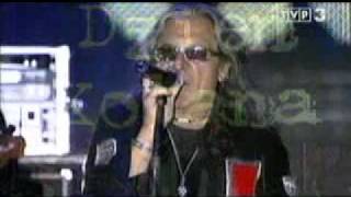 Perfect - Taki Jestem, Niepokonani  "kotan day" (TVP3) na żywo