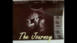 The journey