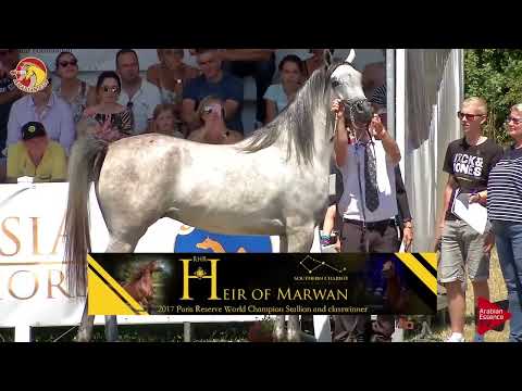 Elran Cup 2018 - Class 14