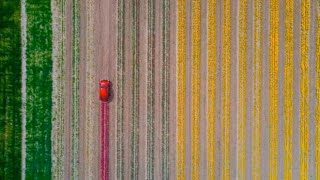 Color From Above - Photo Shot By DRONE CAMERA