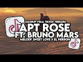 DJ APT ROSE FT BRUNO MARS X SWEET LOVE X EL PERDON MASHUP VIRAL TIKTOK FULL SONG MAMAN FVNDY
