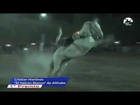 fabrizio martinez vs el halcon blanco