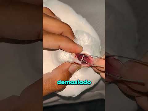 ESTO DEBES HACER PARA SALVAR A TU MASCOTA!! 😯