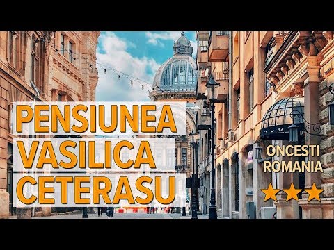 Pensiunea Vasilica Ceterasu hotel review | Hotels in Oncesti | Romanian Hotels