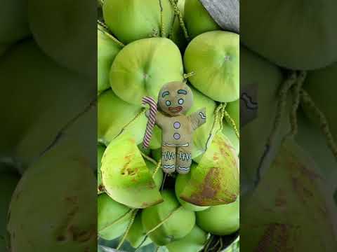 GINGERBREAD MAN IN COCONUT|Kcz World|#shortvideo