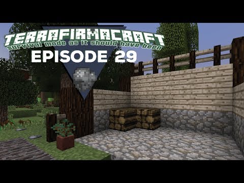 TerrafirmaCraft |S2E29| - Project Lumber