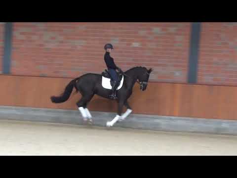 Hof Brüning - Fontenay v. Fürstenball - Akzent II