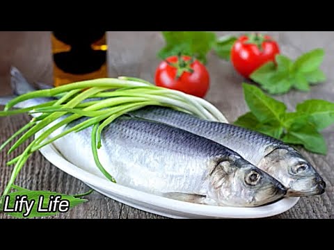 , title : 'HERRING: BENEFITS AND HARMS TO THE HUMAN BODY'