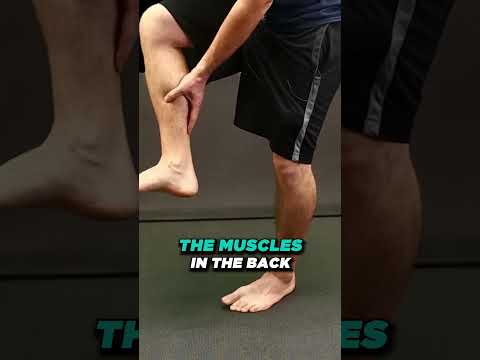 What Causes Bunions What is a bunion How Do You Get Bunions